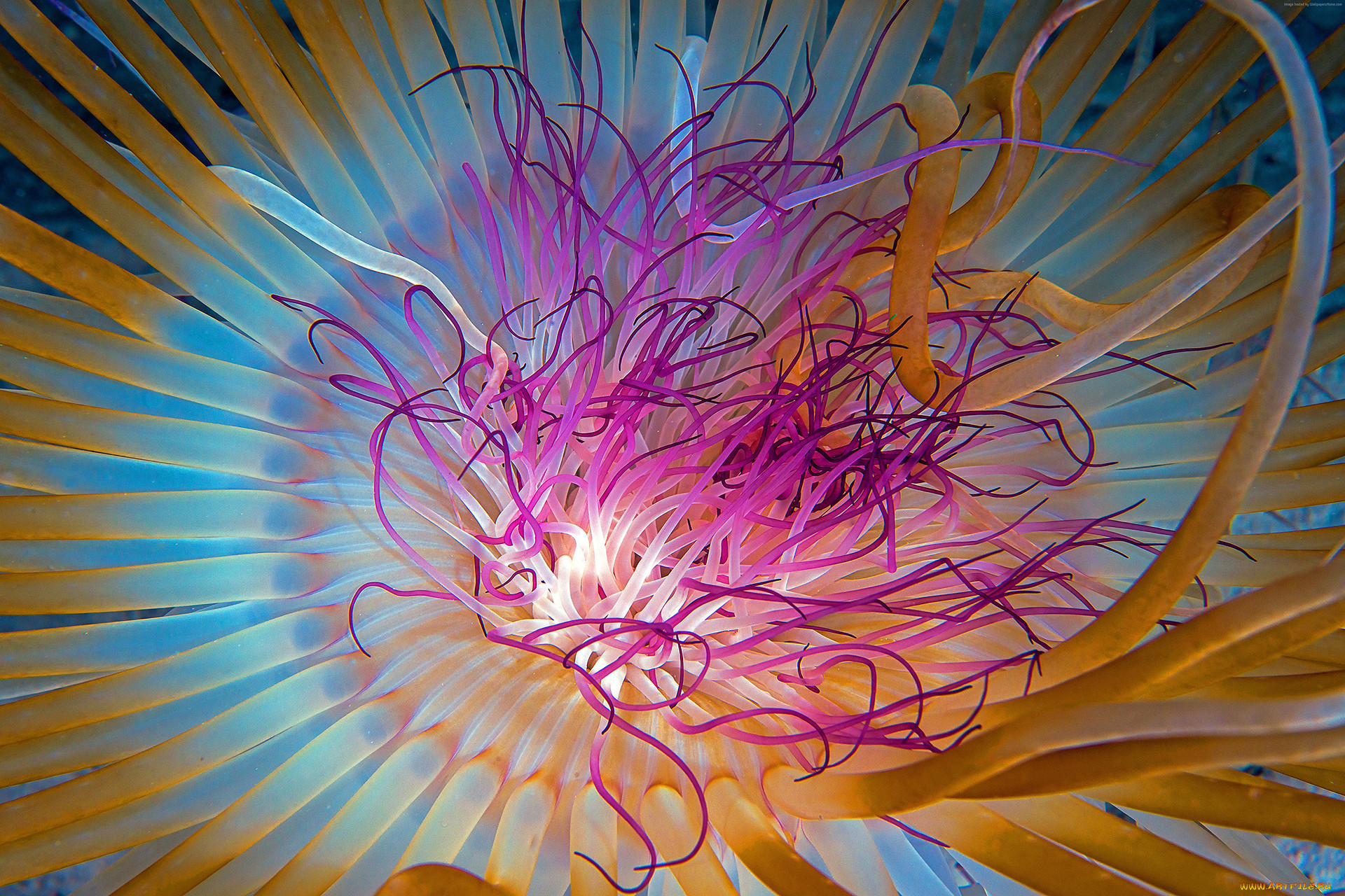 ,  , , , , , 
